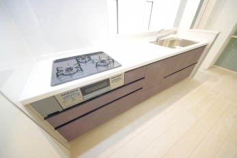 X^CbV@\˔I[vLb`̗pB 