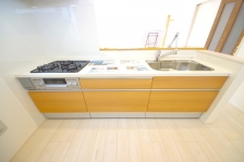 X^CbV@\˔I[vLb`̗pB 