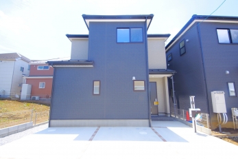 s̃_[NJ[̊OρBȈꌬƂ̐͂ł傤H 