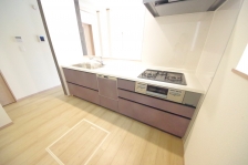 Ȃ烊rOŜn̂ŁAqlV񂾂׋ĂĂꏏɋԂLł܂B 