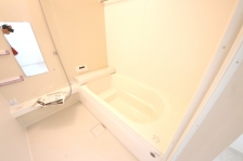 ������葫���L�΂���̂ŁA�����̔�����₷�o�X�^�C���������B 