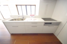 Ȃ烊rOŜn̂ŁAqlV񂾂׋ĂĂꏏɋԂLł܂B  