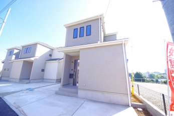 DFœZ߂AKlΊɕςĂ锤łB 