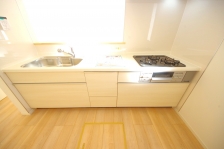 Ȃ烊rOŜn̂ŁAqlV񂾂׋ĂĂꏏɋԂLł܂B 