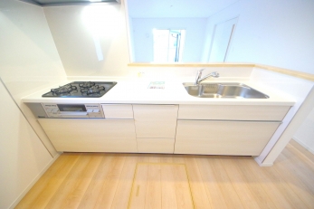 X^CbV@\˔I[vLb`̗pB 