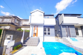 �D�����F���œZ�߂��A�K���l���Ί�ɕς��Ă���锤�ł��B 